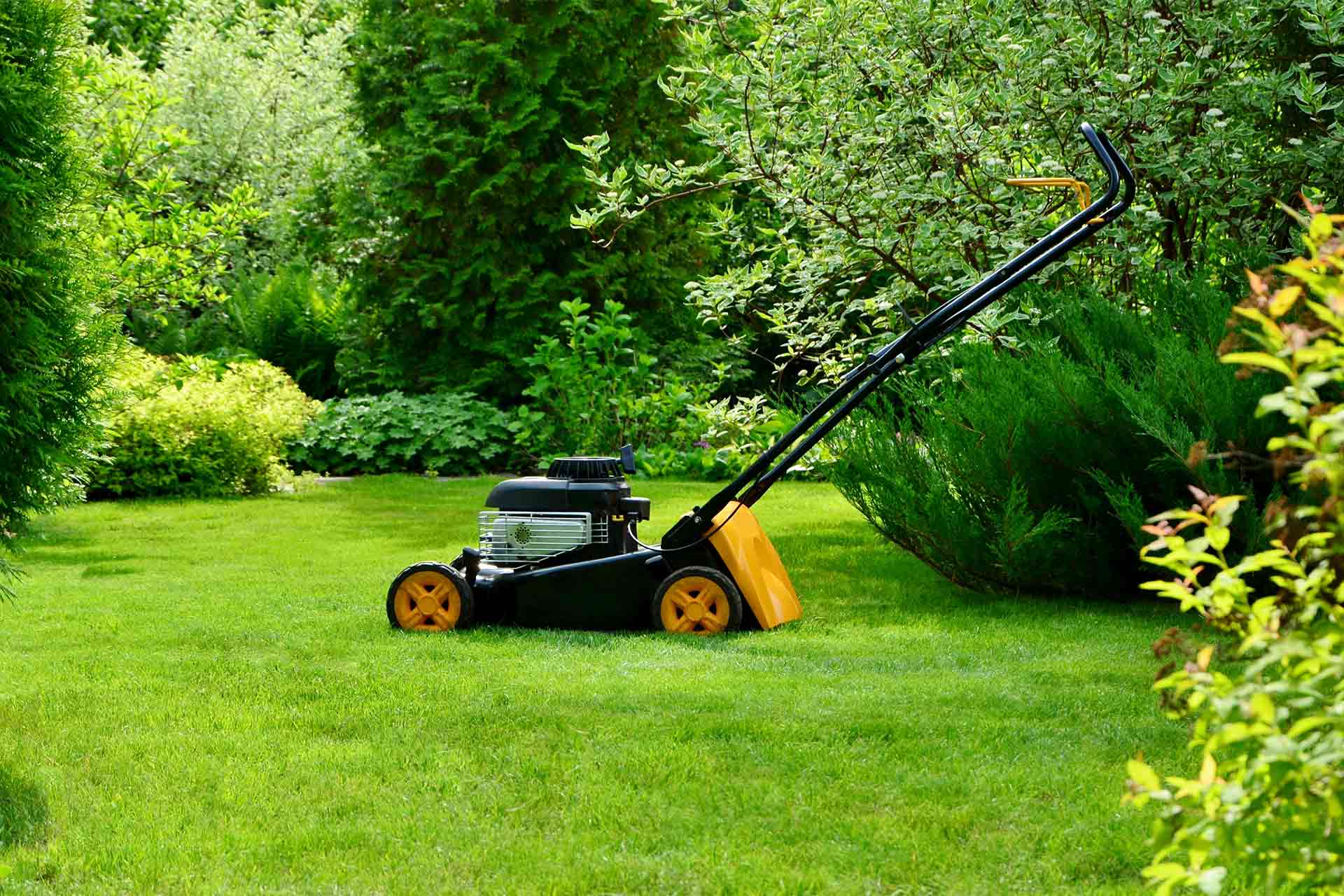 Professional garden landscaping and maintenance